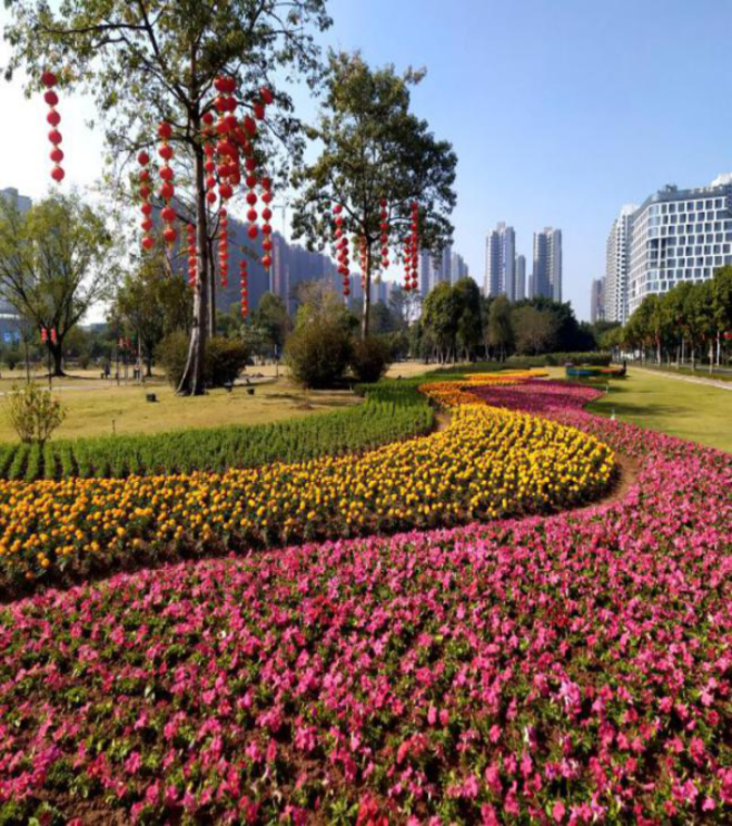图片15.png