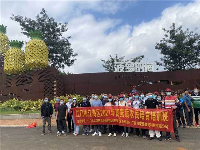 菠萝的海.jpg