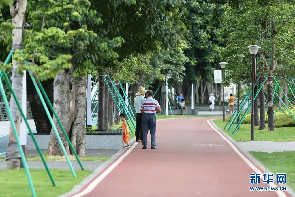 2021年7月15日，市民在广东省江门市江海区下沙公园散步。新华社记者 耿馨宁 摄.jpg
