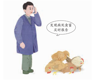 图片6.png