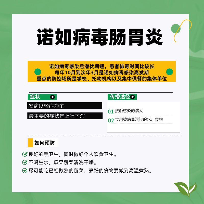 2诺如.png