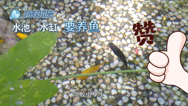 图片13.png