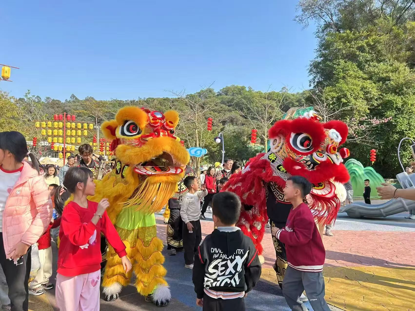 微信图片_20260211092646_68_72.jpg