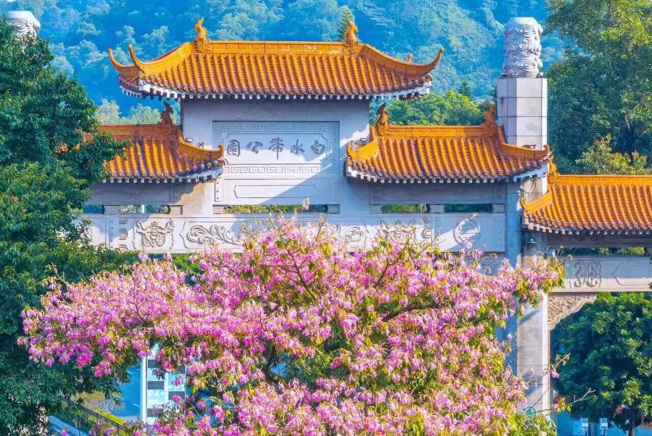 微信图片_2026-07-21_101916_102.jpg