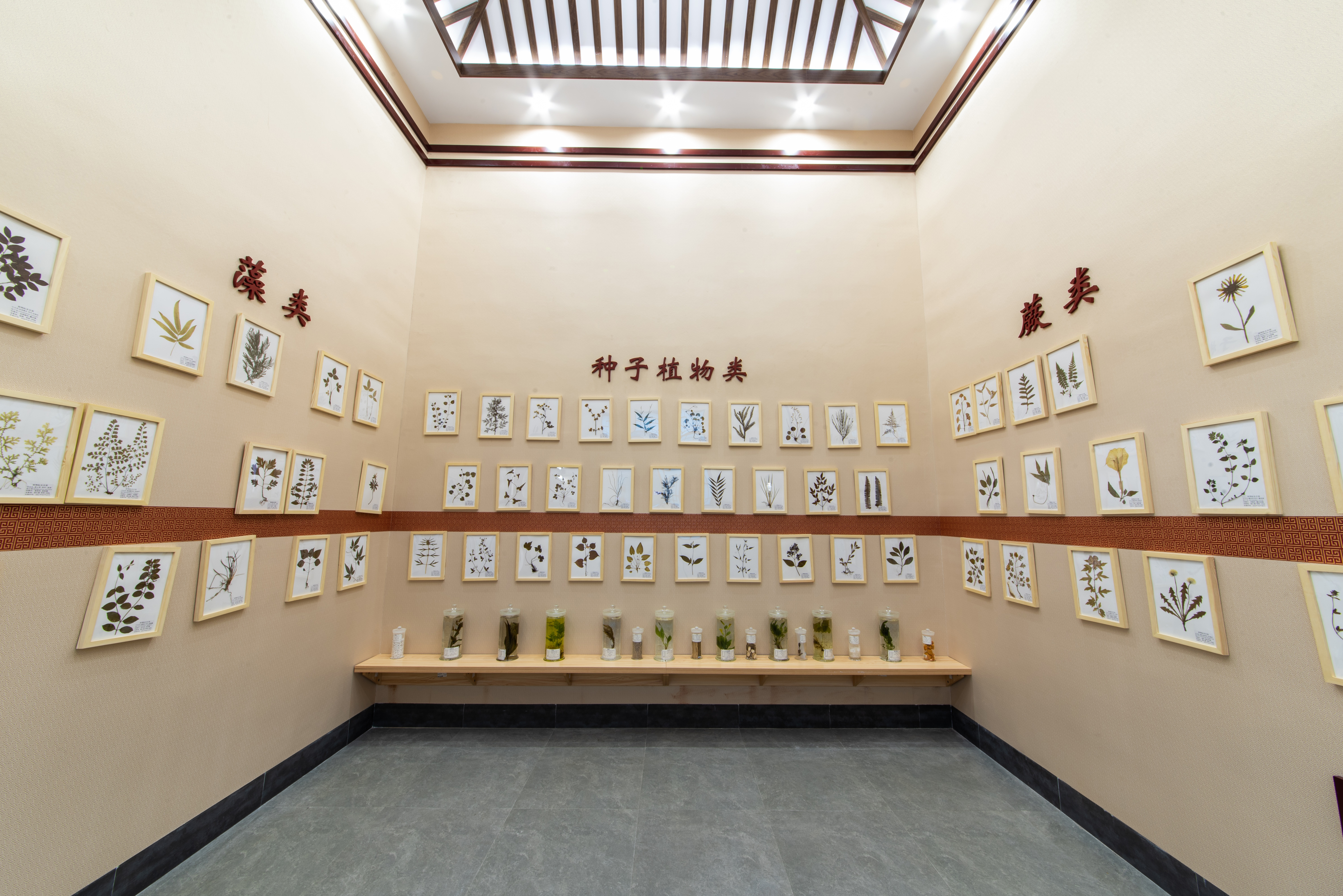 中医药文化纪念馆 (5).jpg